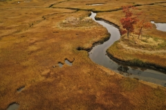 Aucomin Marsh, Rye, NH